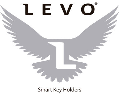 Login levo